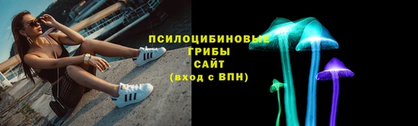 ГАЛЛЮЦИНОГЕННЫЕ ГРИБЫ Лиски