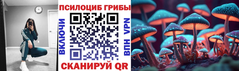 блэк спрут tor  Нерчинск  Псилоцибиновые грибы Magic Shrooms 